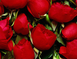 產(chǎn)能實力保證